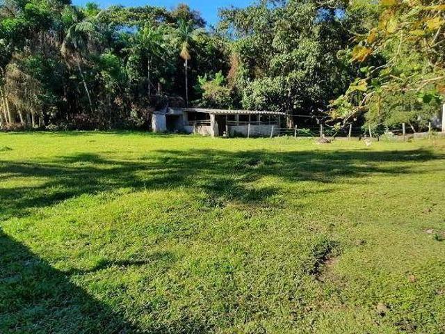 Chácara com 5 dormitórios à venda, 20000 m² por R$ 600.000,00 Estrada Teagem Pedro de Toledo/SP