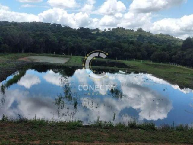 Chácara com 5 tanques de peixe
