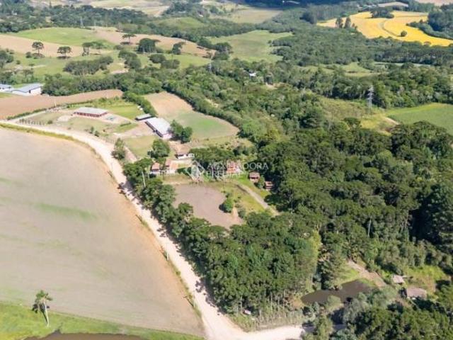 Chácara com 7 dormitórios à venda, 31000 m² por R$ 2.299.000,00 Avencal São José dos Pinhais/PR