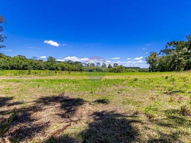 Chácara com 97.000m² na Colônia Murici, São José dos Pinhais
