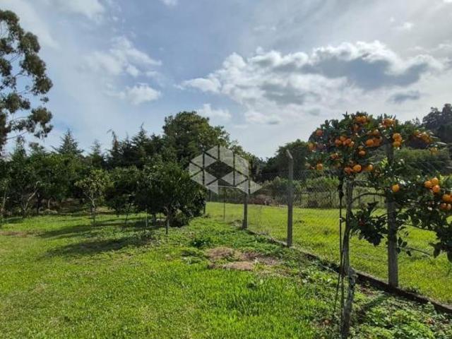 Chácara com 02 hectares e belíssima casa com 4 suítes em Caxias do Sul