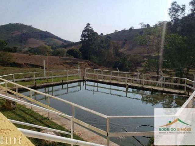 Chácara com 10 dormitórios à venda, 3300 m² por R$ 1.200.000,00 Zona Rural São José do Alegre/MG