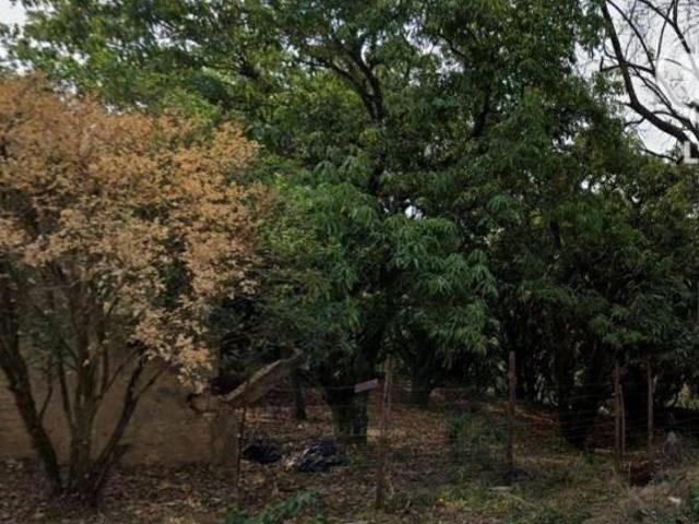 Chácara com 1 dormitório à venda, 4000 m² Chácaras Santo Antonio do Jardim Jaguariúna/SP