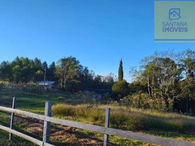Chácara com 1 dormitório à venda, 60000 m² por R$ 780.000,00 Rodeio da Chapada Balsa Nova/PR