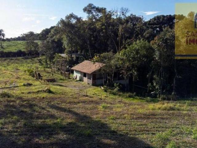 Chácara com 1 dormitório à venda, 18150 m² por R$ 650.000,00 São Caetano Balsa Nova/PR
