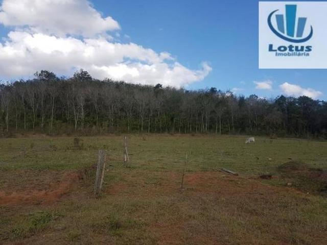 Chácara com 1 dormitório à venda, 20000 m² por R$ 800.000,00 Zona Rural Jaguariúna/SP