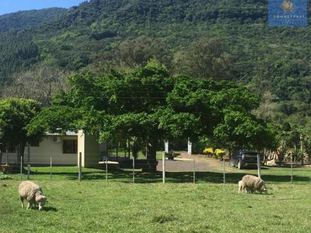 Chácara com 20ha em Maquiné