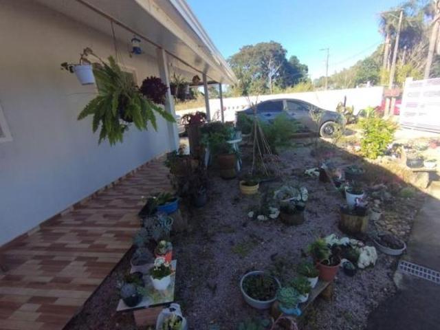 Chácara com 2 dormitórios à venda, 1210 m² por R$ 400.000 Chimboveiro Mandirituba/PR