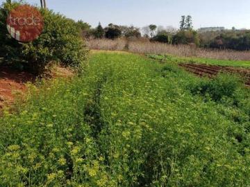 Chácara com 2 dormitórios à venda, 14000 m² por R$ 7.000.000,00 Condomínio Quinta da Boa Vista R