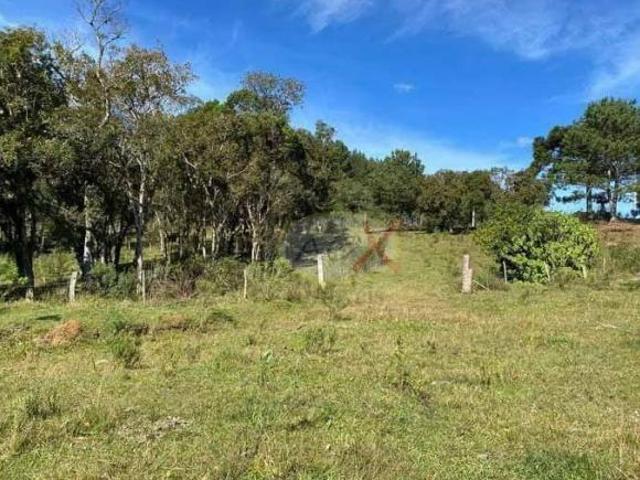 Chácara com 2 dormitórios à venda, 169 m² por R$ 1.150.000,00 Saltinho Mandirituba/PR