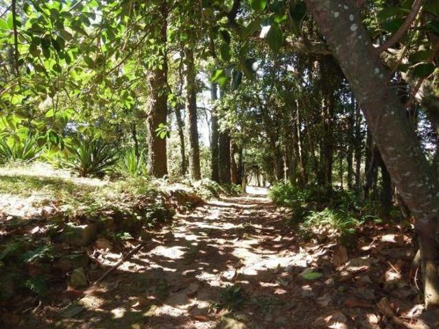 Chácara com 2 dormitórios à venda, 18500 m² por R$ 800.000,00 Florescente Viamão/RS