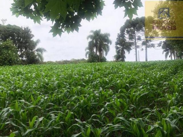 Chácara com 2 dormitórios à venda, 46000 m² por R$ 1.000.000 Mineiros Balsa Nova/PR