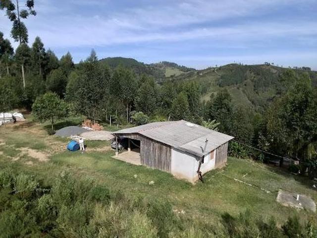 Chácara com 2 dormitórios à venda, 48400 m² por R$ 650.000,00 Campo Magro Campo Magro/PR