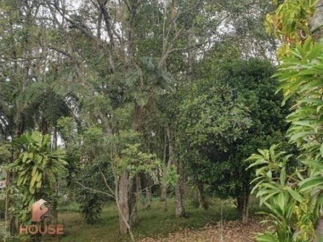 Chácara com 1 dormitório à venda, 4900 m² por R$ 449.000,00 Centro Mogi das Cruzes/SP