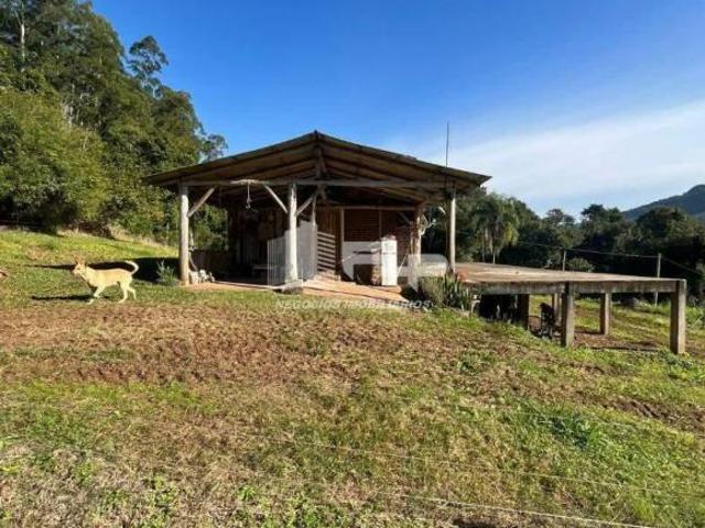 CHÁCARA COM 2 HECTARES NO COQUEIRAL