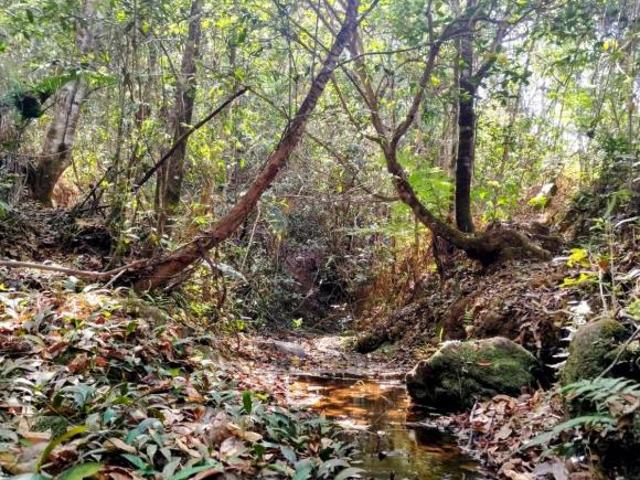 Chácara com 2 Hectares localizada dentro de um vale maravilhoso com córrego