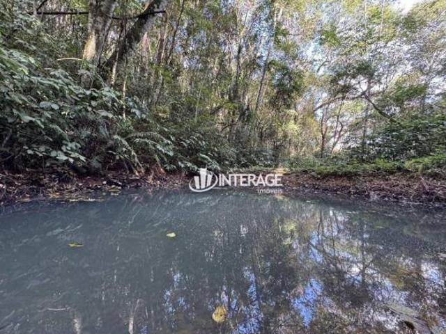 Chácara com 2 quartos à venda, 48400 m² por R$ 650.000 Cerro Negro Campo Magro/PR