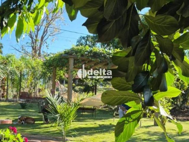 Chácara com 2 quartos disponível para venda na Zona Rural em Indianópolis MG
