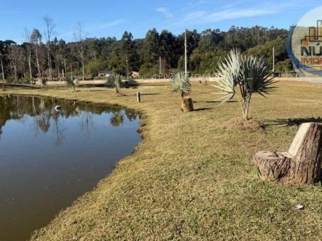 Chácara com 3 dormitórios à venda, 10491 m² por R$ 1.250.000,00 Trigolândia Piên/PR