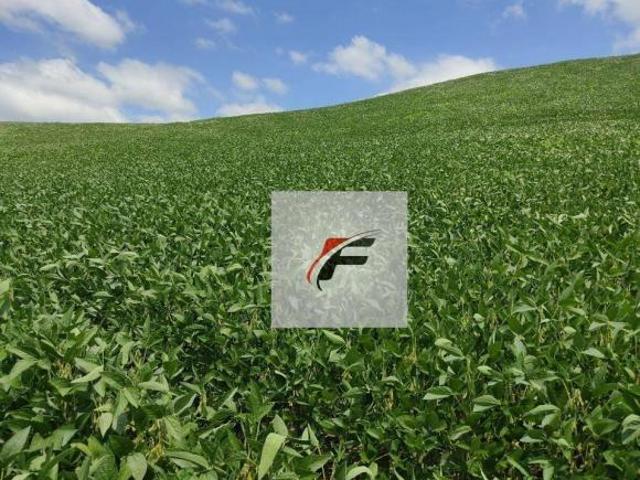 Chácara com 3 dormitórios à venda, 108900 m² por R$ 1.050.000,00 Zona Rural Lapa/PR