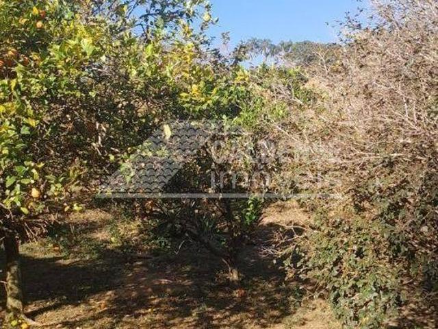 Chácara com 3 dormitórios à venda, 12000 m² por R$ 395.000,00 Palmeiral Botelhos/MG