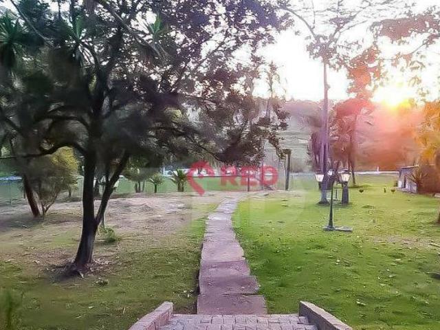 Chácara com 3 dormitórios à venda, 20000 m² por R$ 1.380.000,00 Canguera Capela do Alto/SP