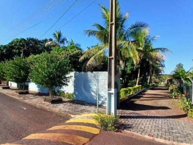 Chácara com 3 dormitórios à venda, 2189 m² por R$ 1.480.000,00 Recanto do Cedro Sertanópolis/PR
