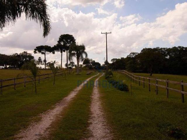 Chácara com 3 dormitórios à venda, 285124 m² por R$ 7.000.000,00 São Luiz do Puruna Balsa Nova/P