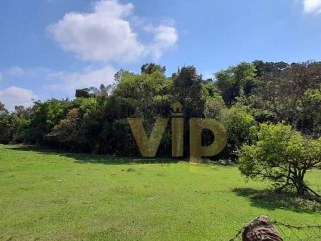 Chácara com 3 dormitórios à venda, 4000 m² por R$ 650.000 Coutinhos Congonhal/MG