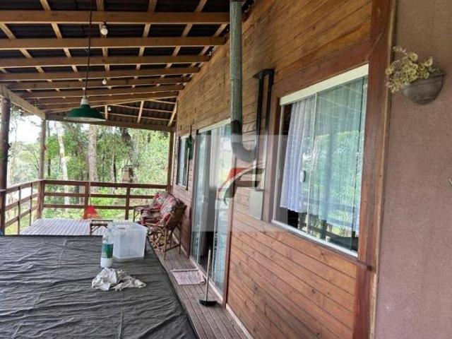 Chácara com 3 dormitórios à venda, 6296 m² por R$ 550.000,00 Centro Mandirituba/PR