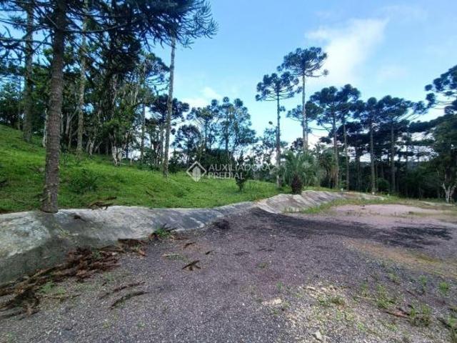 Chácara com 3 dormitórios à venda, 79358 m² por R$ 849.000,00 Campo Alto Tijucas do Sul/PR