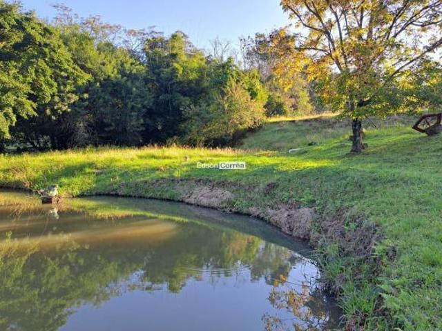 CHÁCARA COM VINÍCULA RICHO 4 AÇUDES VERTENTE EM IGREJINHA RS | R$ 880 MIL