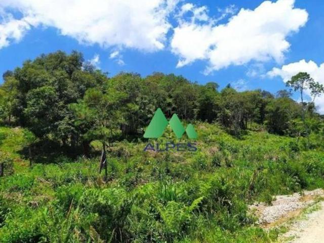 Chácara com Água e Próximo a BR 376 em Tijucas do Sul