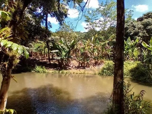 Chácara com área de bosque e ótima topografia à venda em Juquitiba SP