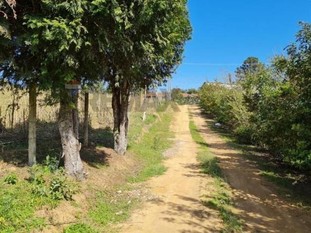 Chácara com área total de 9.177,50 m². Areia Branca dos Assis/Mandirituba