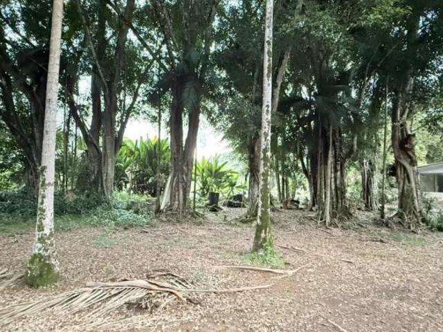 Chácara com chalé a venda em Morretes/Pr por 179MI