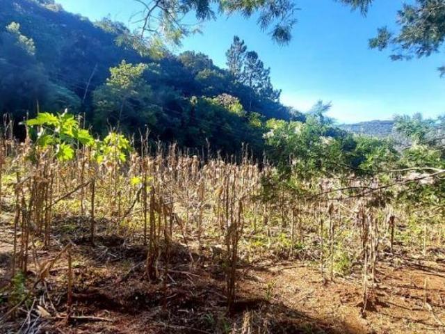 Chácara com linda vista