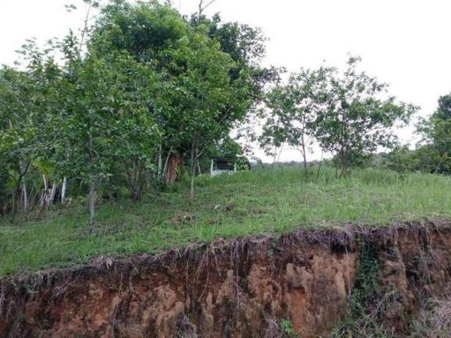 Chacara com mini cachoeira