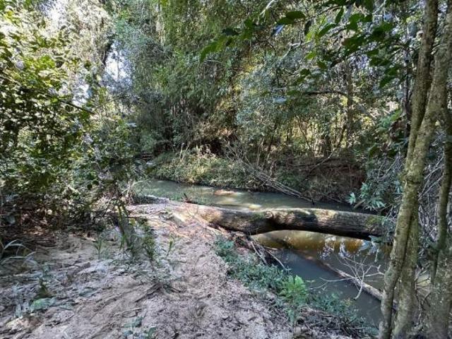 Chácara com Ribeirão nos fundos