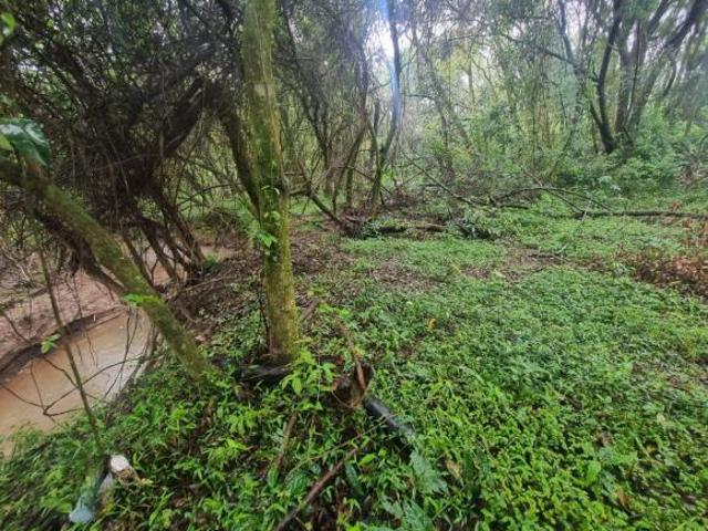 Chácara de 1550 m² com 2 quartos à venda em Munhoz