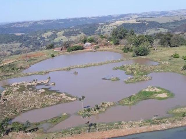 Chacara de 1,5 alqueires à venda localizado no Distr. de São Roque Sta Helena