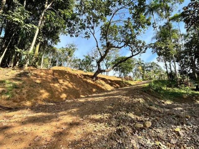 CHÁCARA DE 20.030 M² NA FAZENDA PARAÍSO – ANTONINA