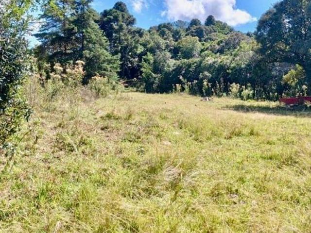 Chácara de 22.290m em Campo Largo Refúgio no Campo com Fácil Acesso à Cidade