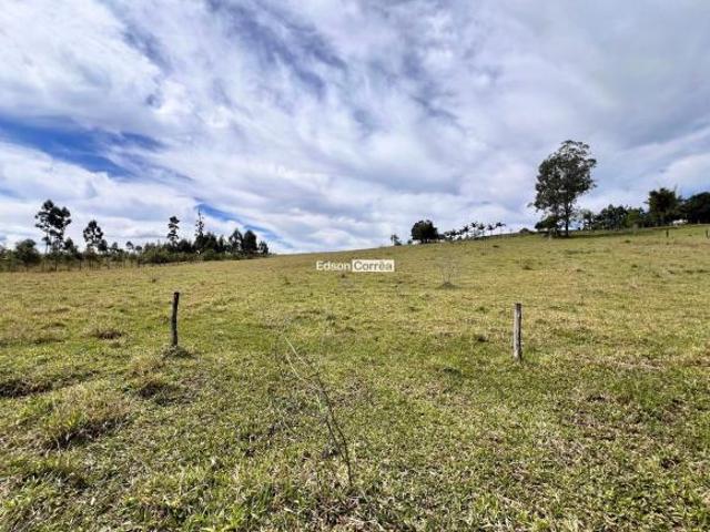 CHÁCARA DE 3,5 HECTARES COM ÁGUA CORRENTE E VERTENTE