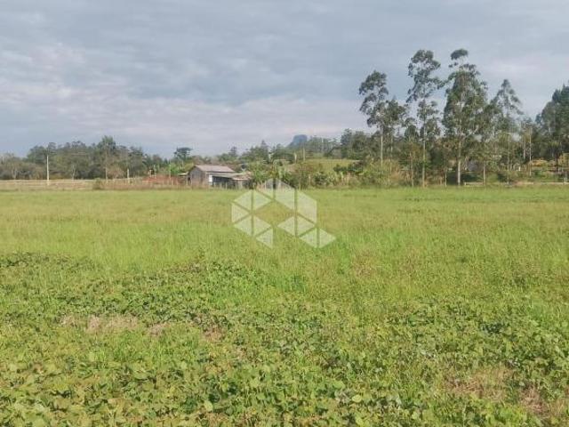 Chácara de 7 hectares na Linha Bernardino pronta para o plantio
