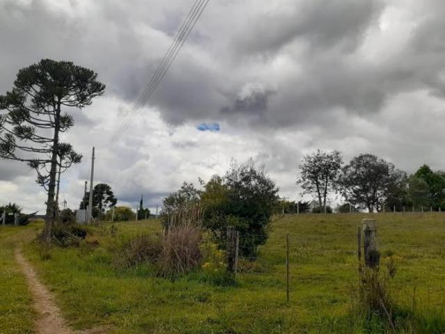 Chácara de 9,42 ha em Lajeado Grande, São Francisco de Paula