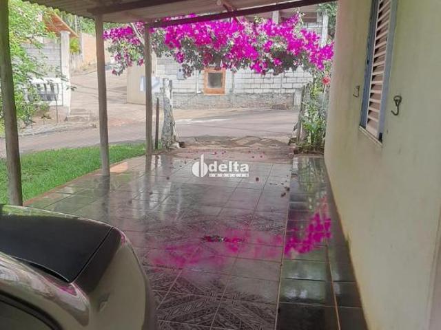 Chácara disponível para venda em Indianópolis MG