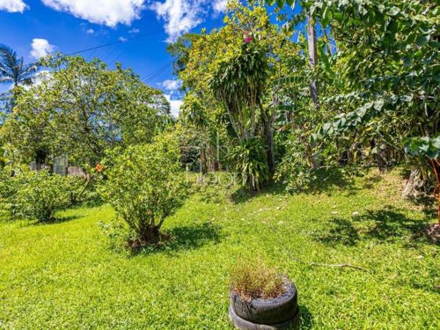 CHÁCARA EM MORRETES PRÓX.BR 277