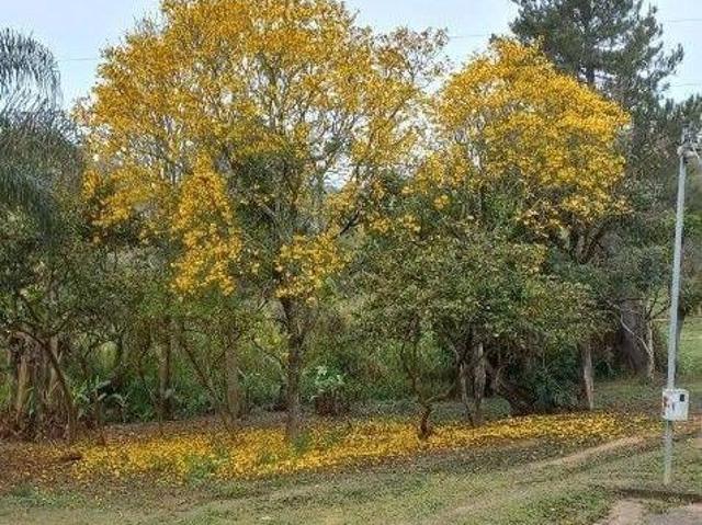 Chácara em Zona Rural, Ouro Fino/MG de 250m² à venda por R$ 499.000,00