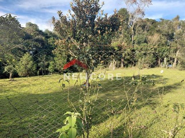 Chácara em Área Rural Colônia Murici São José dos Pinhais/PR